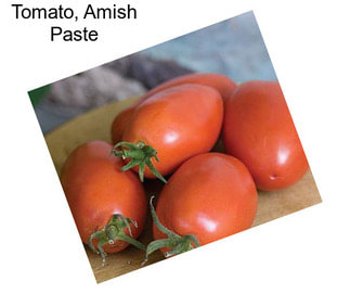 Tomato, Amish Paste