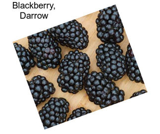 Blackberry, Darrow