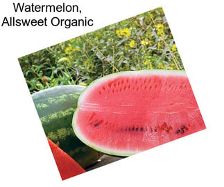 Watermelon, Allsweet Organic
