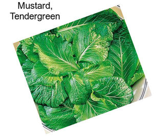 Mustard, Tendergreen