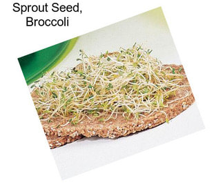 Sprout Seed, Broccoli