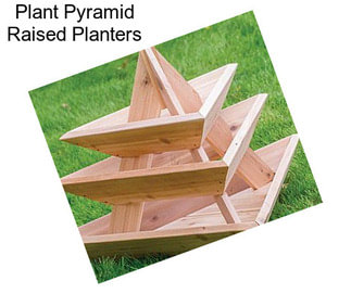 Plant Pyramid Raised Planters