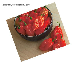 Pepper, Hot, Habanero Red Organic