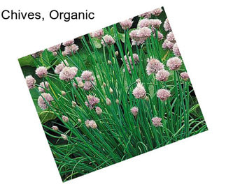 Chives, Organic