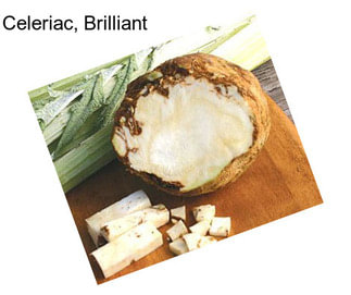 Celeriac, Brilliant