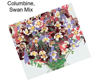 Columbine, Swan Mix