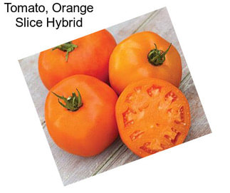 Tomato, Orange Slice Hybrid