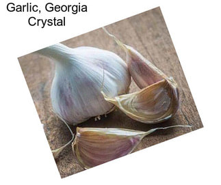 Garlic, Georgia Crystal