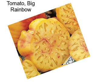 Tomato, Big Rainbow