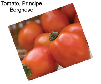 Tomato, Principe Borghese