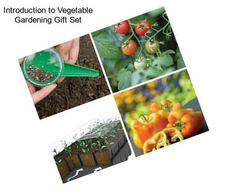 Introduction to Vegetable Gardening Gift Set