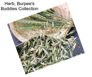 Herb, Burpee\'s Buddies Collection