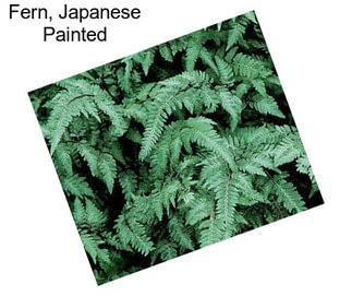 Fern, Japanese Painted