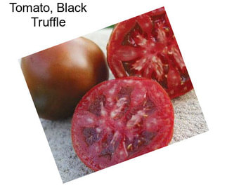 Tomato, Black Truffle
