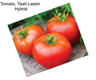 Tomato, Tasti-Leetm  Hybrid