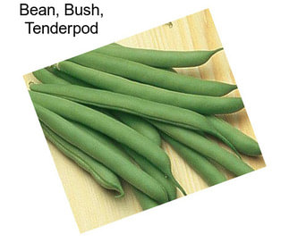 Bean, Bush, Tenderpod