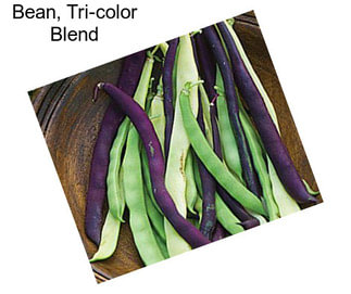 Bean, Tri-color Blend