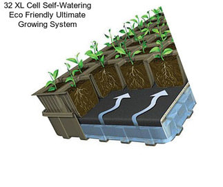32 XL Cell Self-Watering Eco Friendly Ultimate Growing System