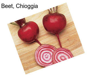 Beet, Chioggia