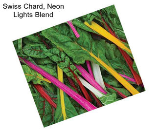 Swiss Chard, Neon Lights Blend