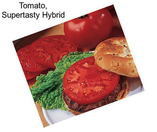 Tomato, Supertasty Hybrid