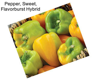 Pepper, Sweet, Flavorburst Hybrid