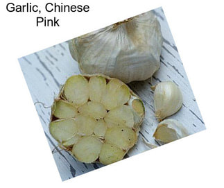 Garlic, Chinese Pink