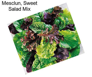 Mesclun, Sweet Salad Mix