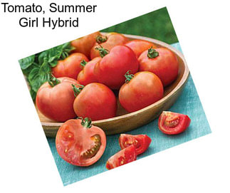 Tomato, Summer Girl Hybrid