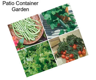 Patio Container Garden