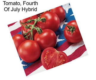 Tomato, Fourth Of July Hybrid