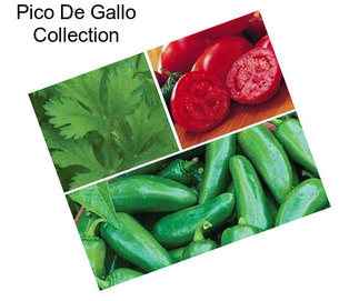 Pico De Gallo Collection