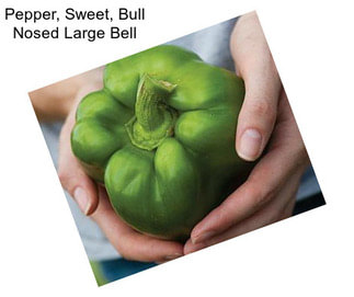 Pepper, Sweet, Bull Nosed Large Bell