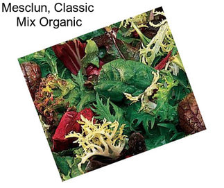 Mesclun, Classic  Mix Organic