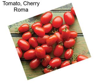 Tomato, Cherry Roma