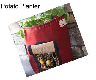 Potato Planter