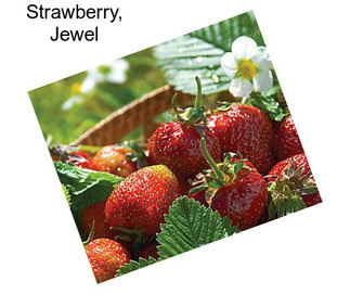Strawberry, Jewel