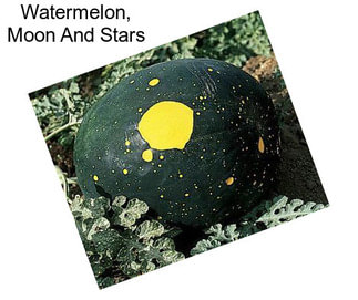 Watermelon, Moon And Stars