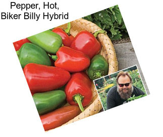 Pepper, Hot, Biker Billy Hybrid