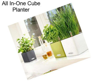 All In-One Cube Planter