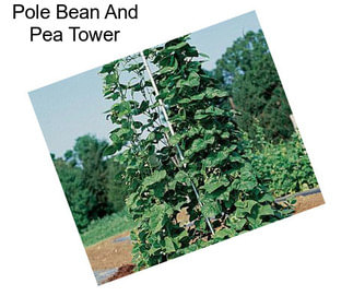 Pole Bean And Pea Tower