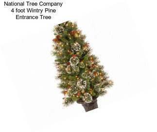 National Tree Company 4 foot Wintry Pine Entrance Tree
