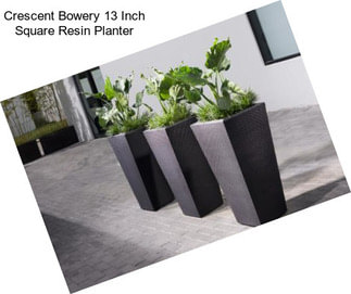 Crescent Bowery 13 Inch Square Resin Planter