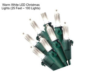 Warm White LED Christmas Lights (25 Feet – 100 Lights)