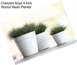 Crescent Anya 4 inch Round Resin Planter