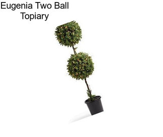 Eugenia Two Ball Topiary