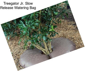 Treegator Jr. Slow Release Watering Bag