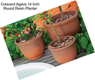 Crescent Agave 14 Inch Round Resin Planter