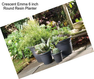 Crescent Emma 6 inch Round Resin Planter