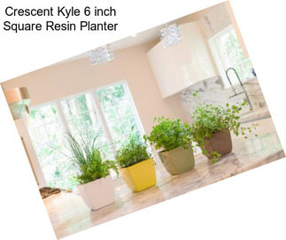 Crescent Kyle 6 inch Square Resin Planter